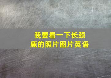 我要看一下长颈鹿的照片图片英语