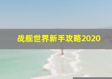 战舰世界新手攻略2020