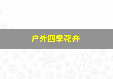 户外四季花卉