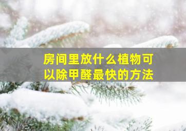 房间里放什么植物可以除甲醛最快的方法