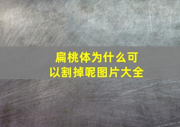 扁桃体为什么可以割掉呢图片大全