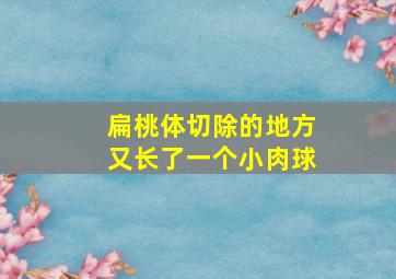 扁桃体切除的地方又长了一个小肉球