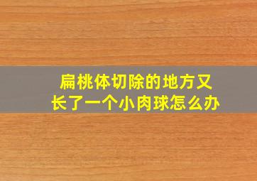 扁桃体切除的地方又长了一个小肉球怎么办