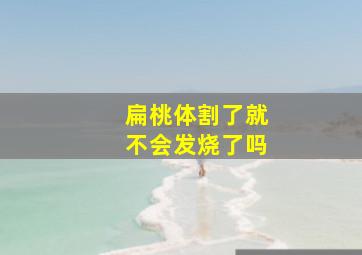 扁桃体割了就不会发烧了吗