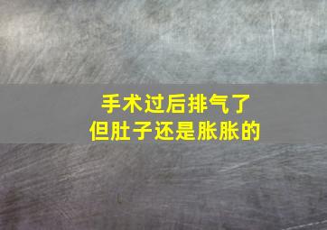 手术过后排气了但肚子还是胀胀的