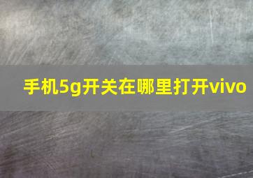 手机5g开关在哪里打开vivo