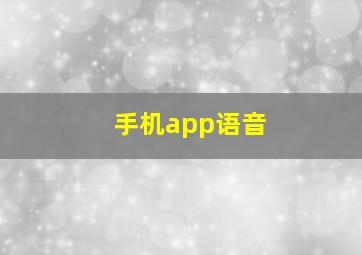 手机app语音