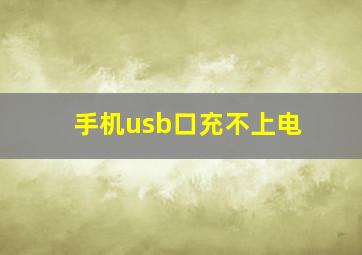 手机usb口充不上电