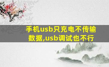 手机usb只充电不传输数据,usb调试也不行