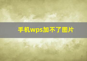 手机wps加不了图片