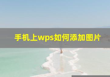 手机上wps如何添加图片