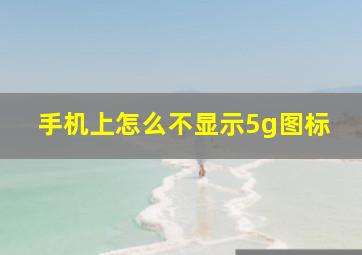 手机上怎么不显示5g图标