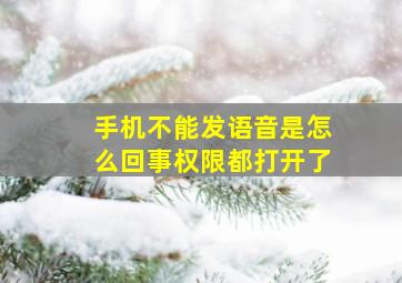 手机不能发语音是怎么回事权限都打开了