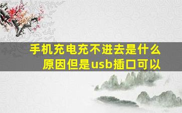 手机充电充不进去是什么原因但是usb插口可以