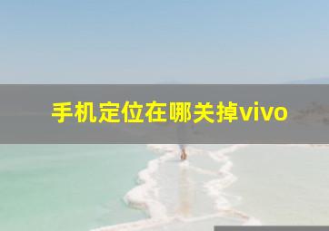 手机定位在哪关掉vivo