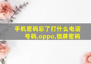 手机密码忘了打什么电话号码,oppo,锁屏密码