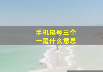 手机尾号三个一是什么意思