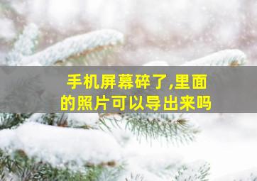 手机屏幕碎了,里面的照片可以导出来吗