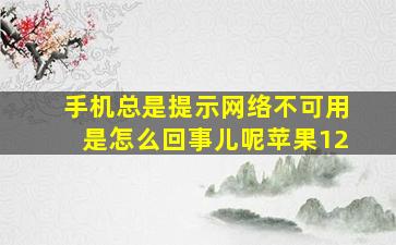 手机总是提示网络不可用是怎么回事儿呢苹果12