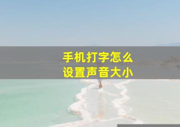 手机打字怎么设置声音大小