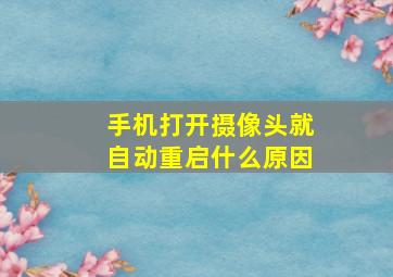 手机打开摄像头就自动重启什么原因