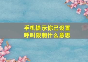 手机提示你已设置呼叫限制什么意思