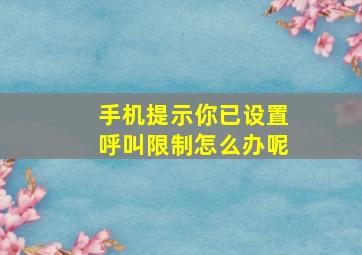 手机提示你已设置呼叫限制怎么办呢