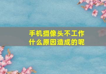 手机摄像头不工作什么原因造成的呢