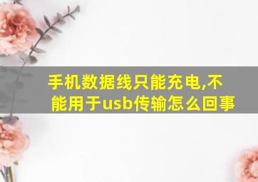 手机数据线只能充电,不能用于usb传输怎么回事