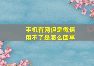 手机有网但是微信用不了是怎么回事