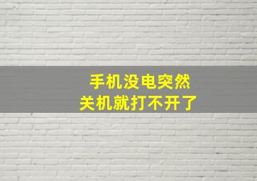 手机没电突然关机就打不开了