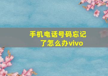 手机电话号码忘记了怎么办vivo