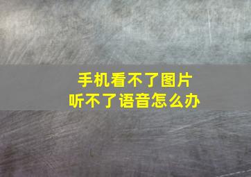 手机看不了图片听不了语音怎么办