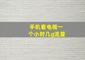 手机看电视一个小时几g流量