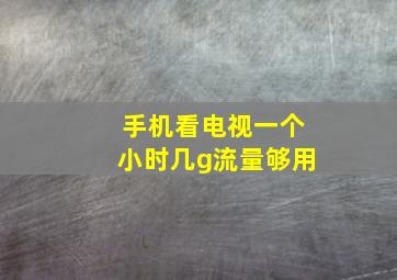 手机看电视一个小时几g流量够用