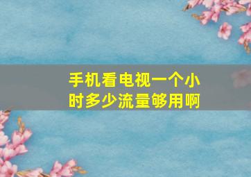 手机看电视一个小时多少流量够用啊