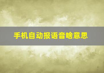 手机自动报语音啥意思