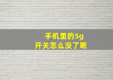 手机里的5g开关怎么没了呢