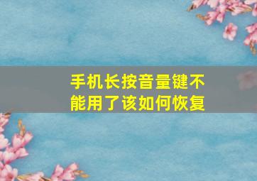 手机长按音量键不能用了该如何恢复