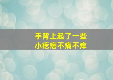 手背上起了一些小疙瘩不痛不痒