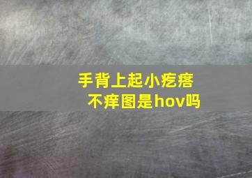 手背上起小疙瘩不痒图是hov吗