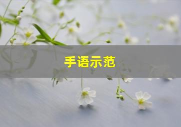 手语示范