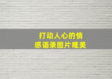 打动人心的情感语录图片唯美