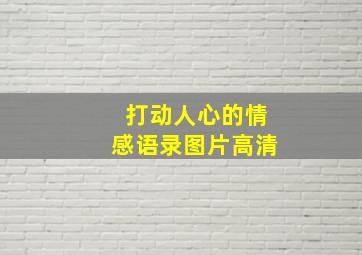 打动人心的情感语录图片高清