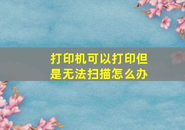 打印机可以打印但是无法扫描怎么办