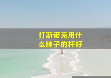 打斯诺克用什么牌子的杆好