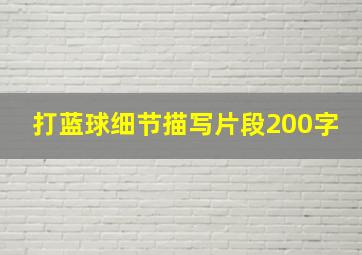 打蓝球细节描写片段200字