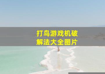 打鸟游戏机破解法大全图片