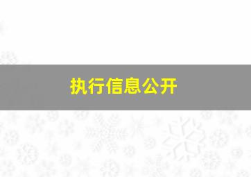 执行信息公开