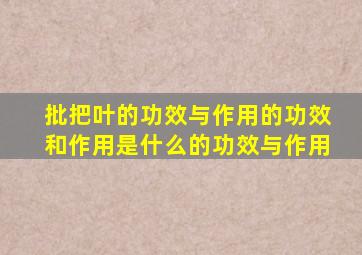 批把叶的功效与作用的功效和作用是什么的功效与作用